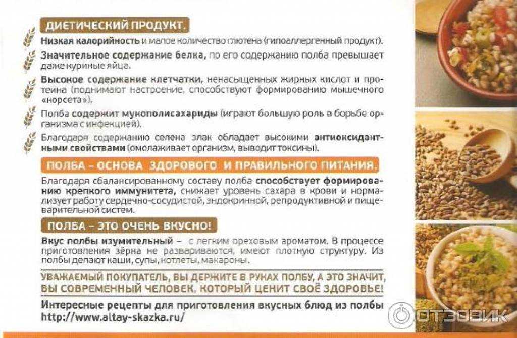 Полба - полезные и опасные свойства полбы