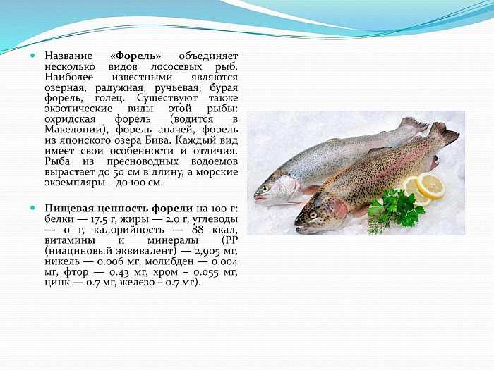 Рыба лимонелла: характеристика, обитание, чем полезна