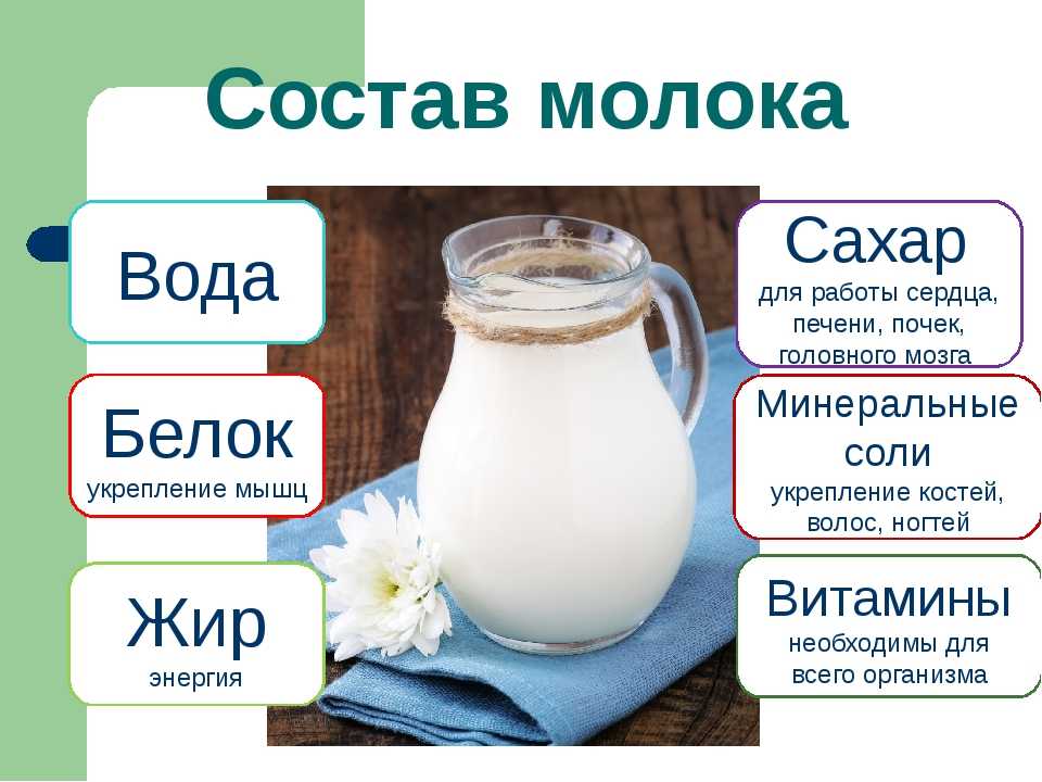 Сухое молоко — состав, калорийность, польза