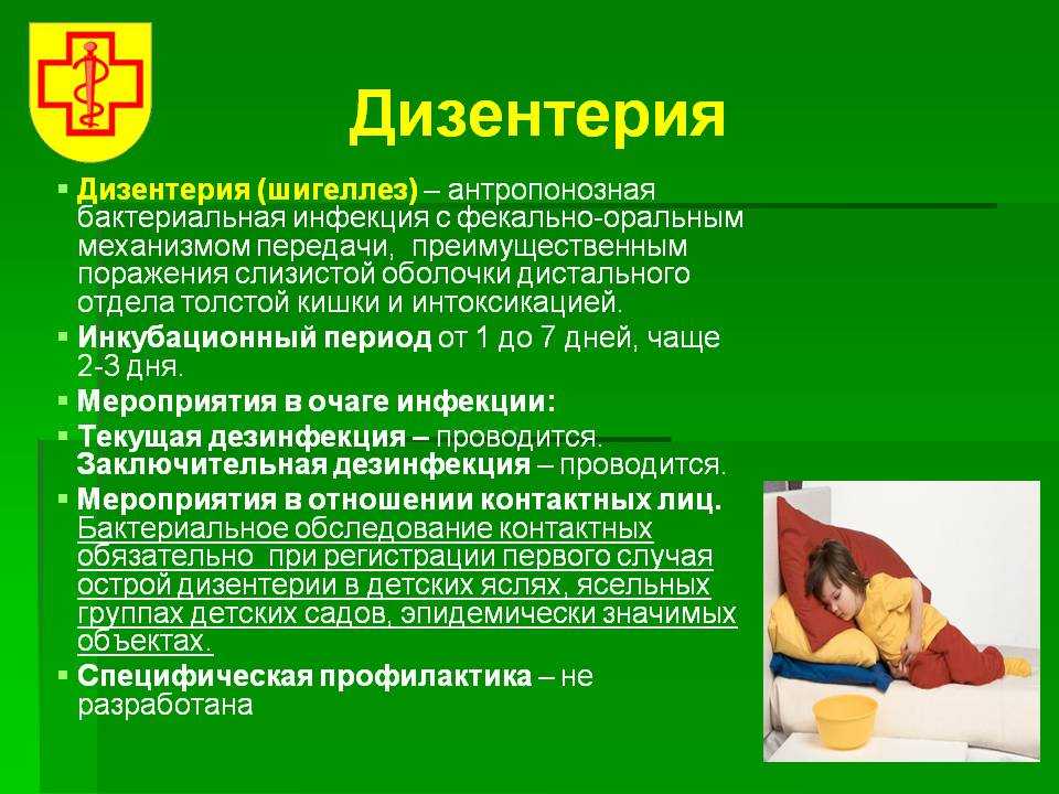 План карантинных мероприятий при дизентерии