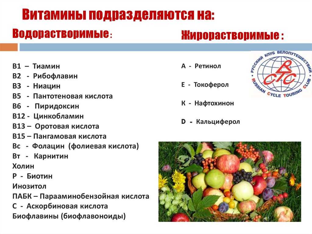 Морковь польза и вред для организма человека