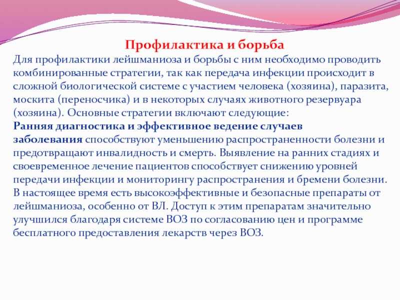 Лейшмании - это... что такое лейшмании?