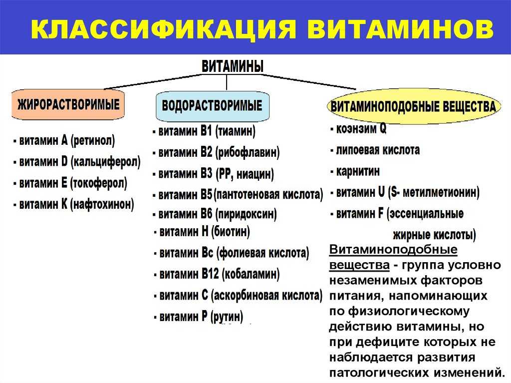 Классификация витаминов картинка