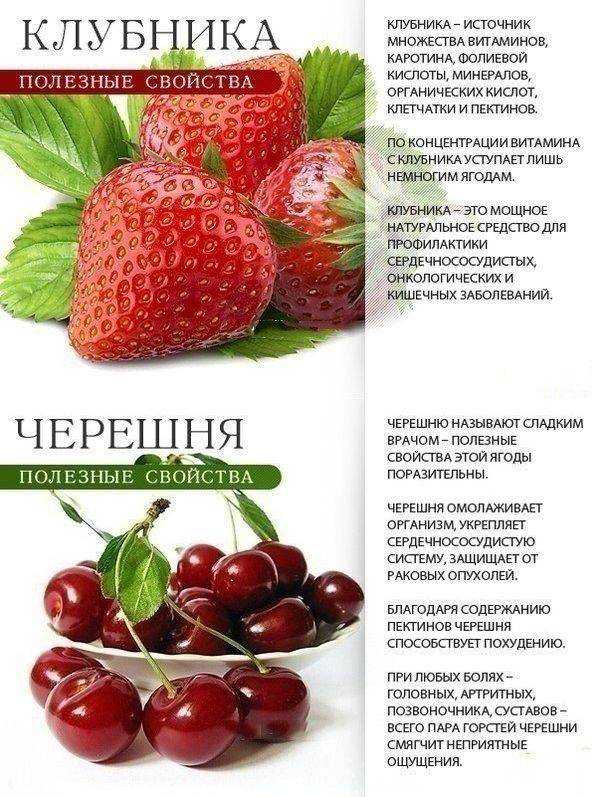 Чем полезна клубника? калорийность. противопоказания. клубника с сахаром :: syl.ru
