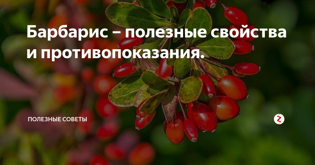 Карамель — химический состав, пищевая ценность, бжу