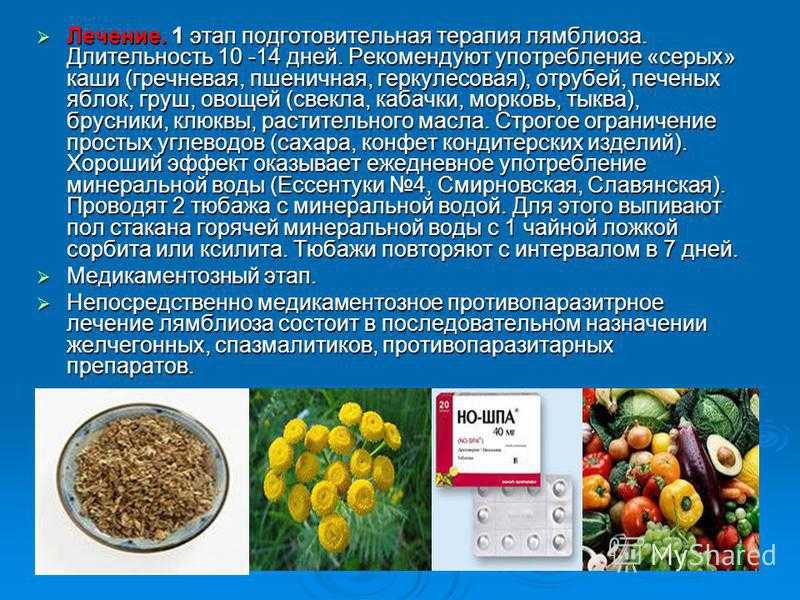 Лямблии у взрослых и детей: симптомы и лечение