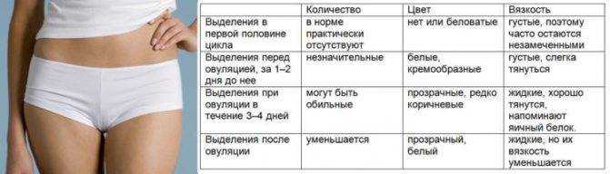 Выделения после месячных какие должны быть картинка