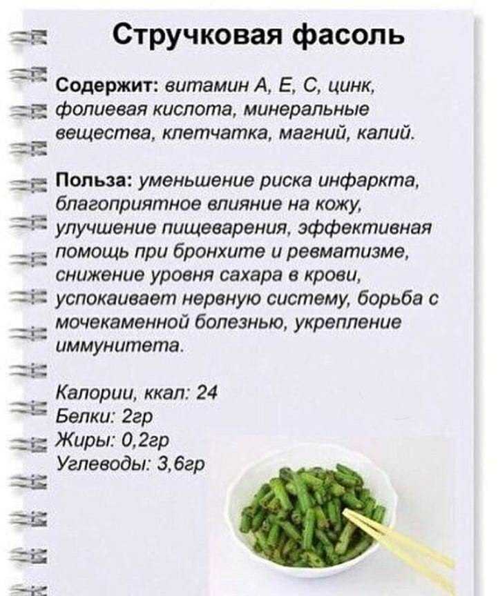 Фасоль – калорийность и состав, полезные свойства и противопоказания