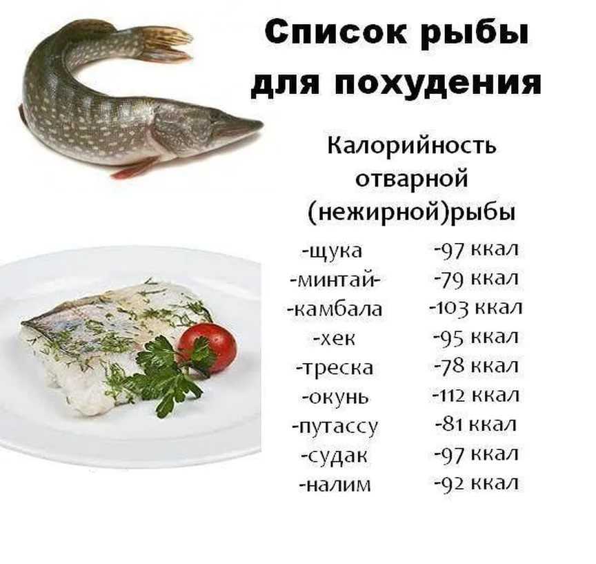 Низкокалорийная рыба список. список нежирных сортов рыбы для диеты и похудения