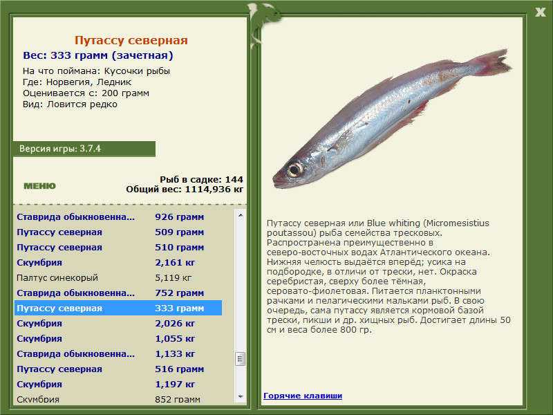 Вареная рыба калорийность. Путассу вес 1 рыбки. Тресковые семейство рыб. Рыбы семейства тресковых перечень. Название сельдевых рыб.