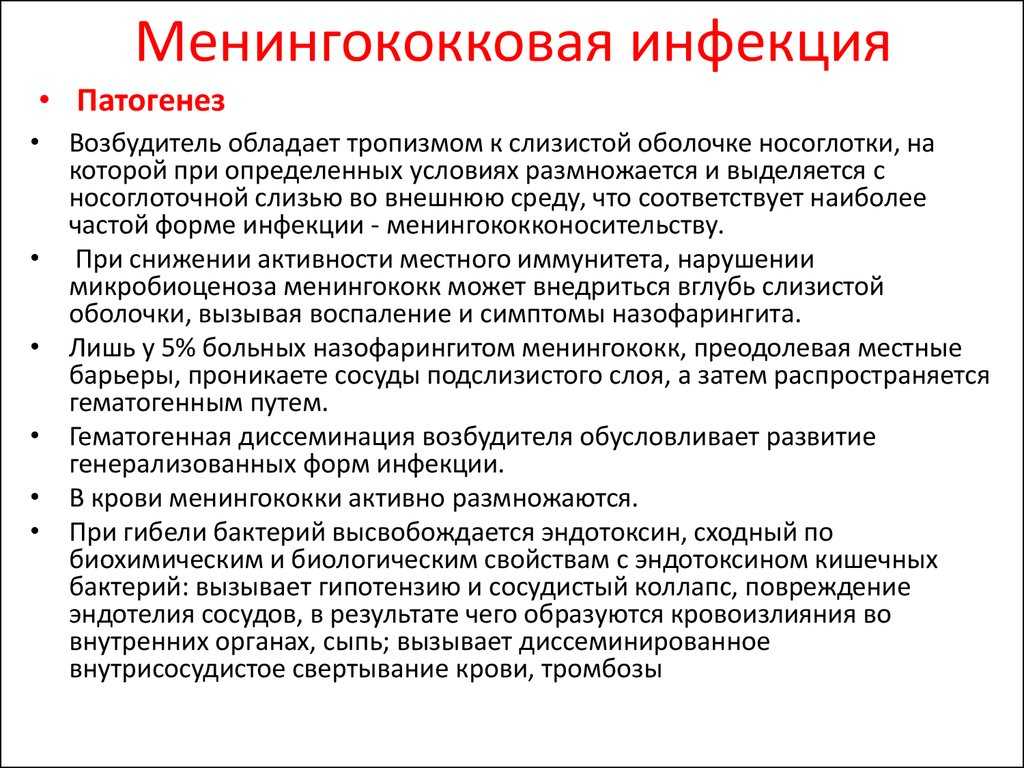 Микрофлора полости рта