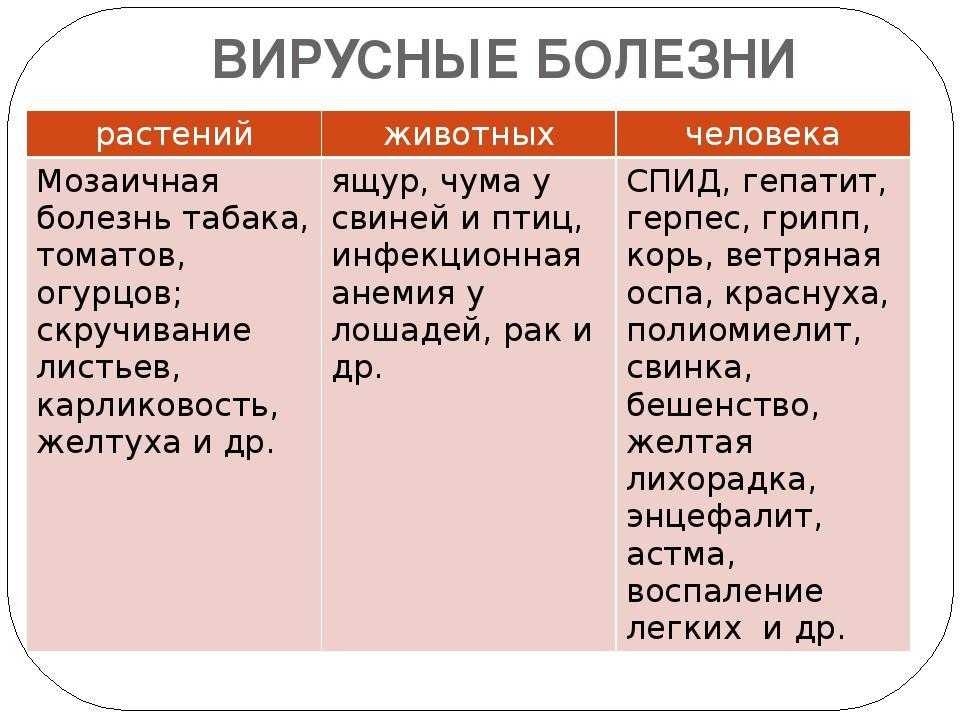 Какие бывают болезни. Болезни животных вызываемые вирусами. Вирусные заболевания человека животных и растений. Болезни растений вызываемые вирусами. Болезни человека животных и растений вызываемые вирусами.