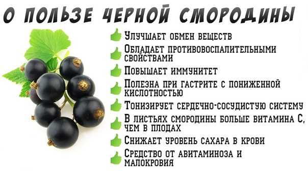 Самые полезные ягоды, их свойства + таблица кбжу, витамины