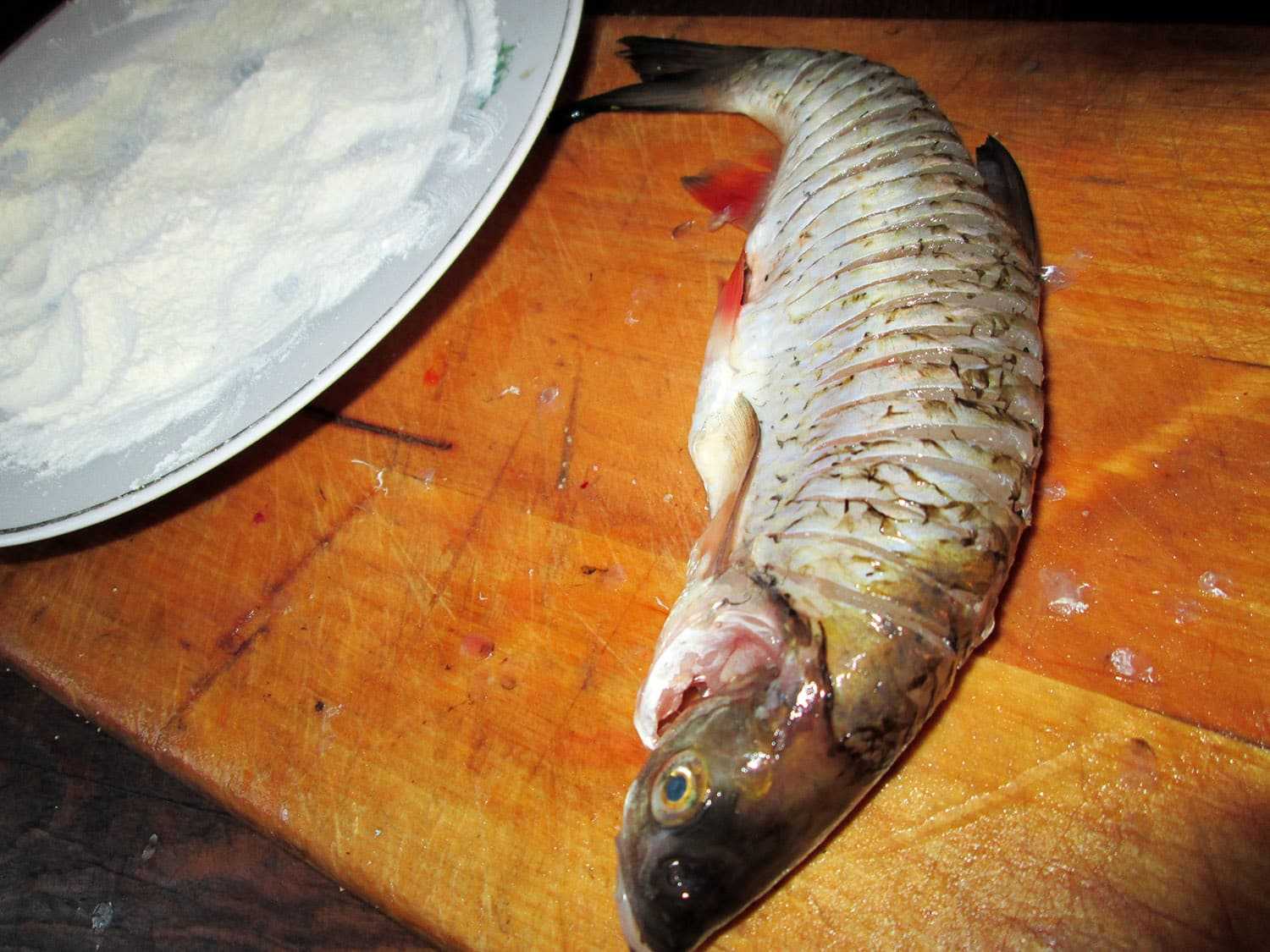Голавль рыба. образ жизни и среда обитания рыбы голавль | животный мир
