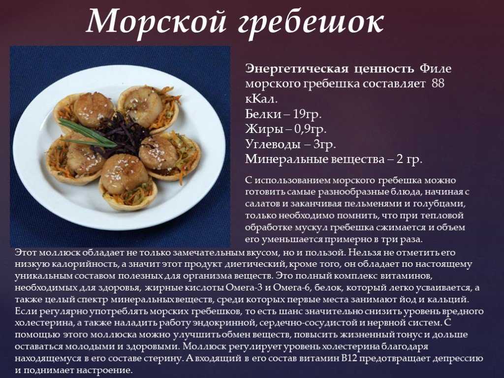 Морской гребешок польза