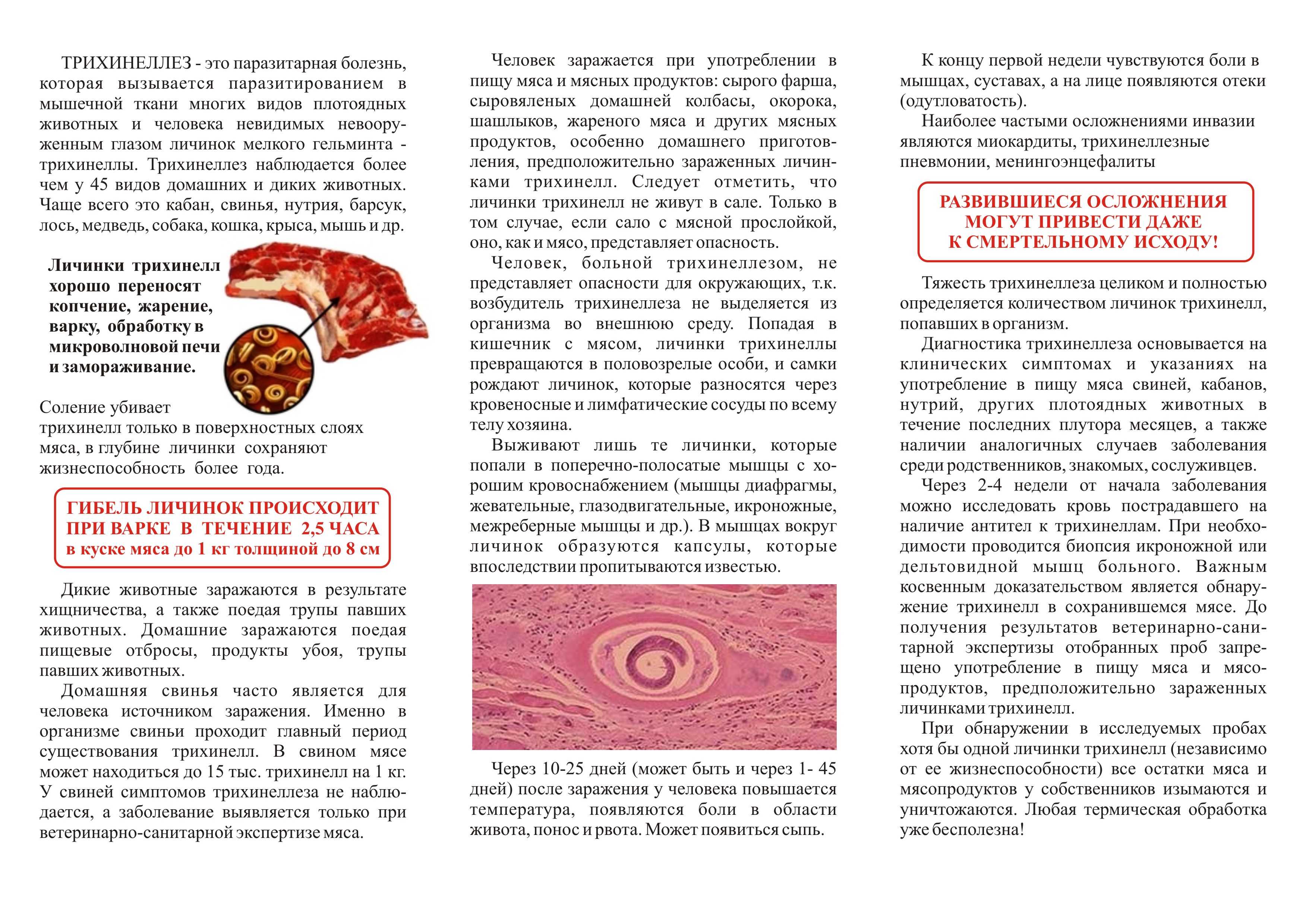 Трихинеллез — большая медицинская энциклопедия