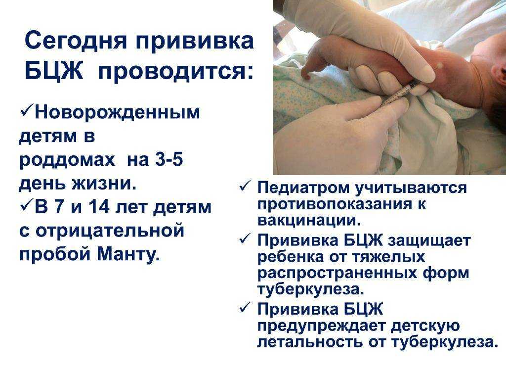 БЦЖ прививка алгоритм вакцинации. Иммунизация новорожденных вакциной БЦЖ проводится. Техника введения вакцины БЦЖ М. Оценка эффективности вакцинации БЦЖ.