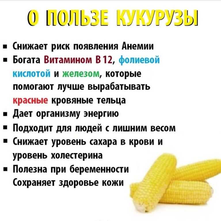 Разберемся, кукуруза это фрукт или овощ, или злак, относится она к бобовым или нет
