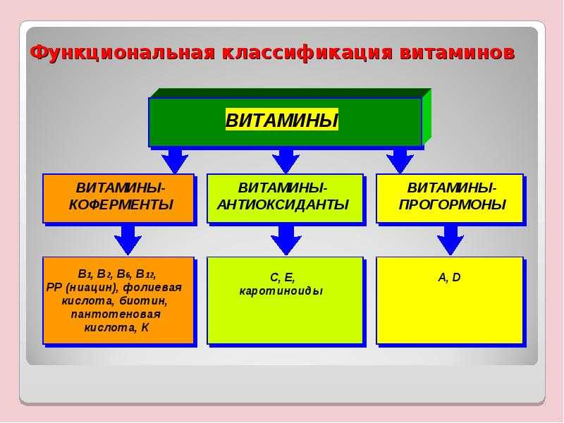 Морковь польза и вред для организма женщины, мужчины и детей