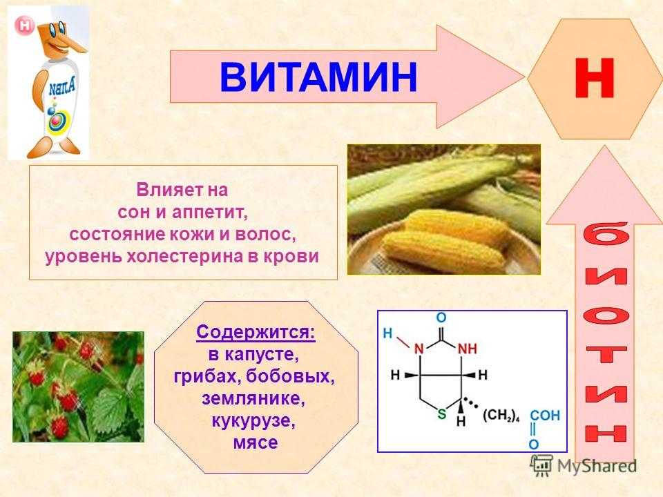 Витамин в1