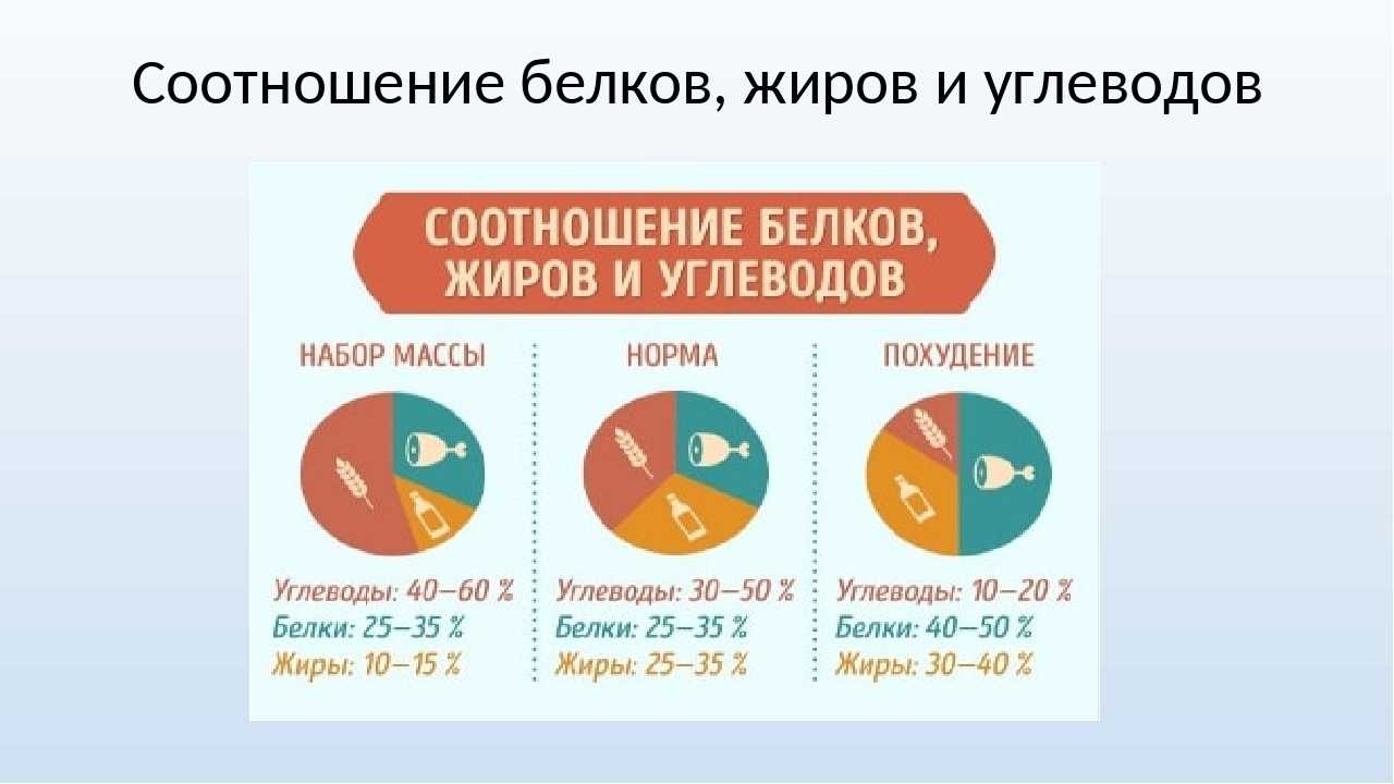 Таблица бжу продуктов в 100 граммах: белки, жиры, углеводы