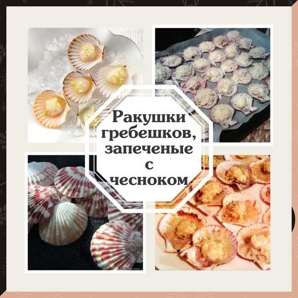 Морской гребешок — химический состав, пищевая ценность, бжу