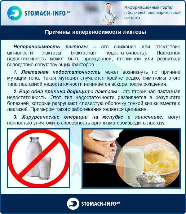 Диета при лактазной недостаточности у взрослых - medside.ru