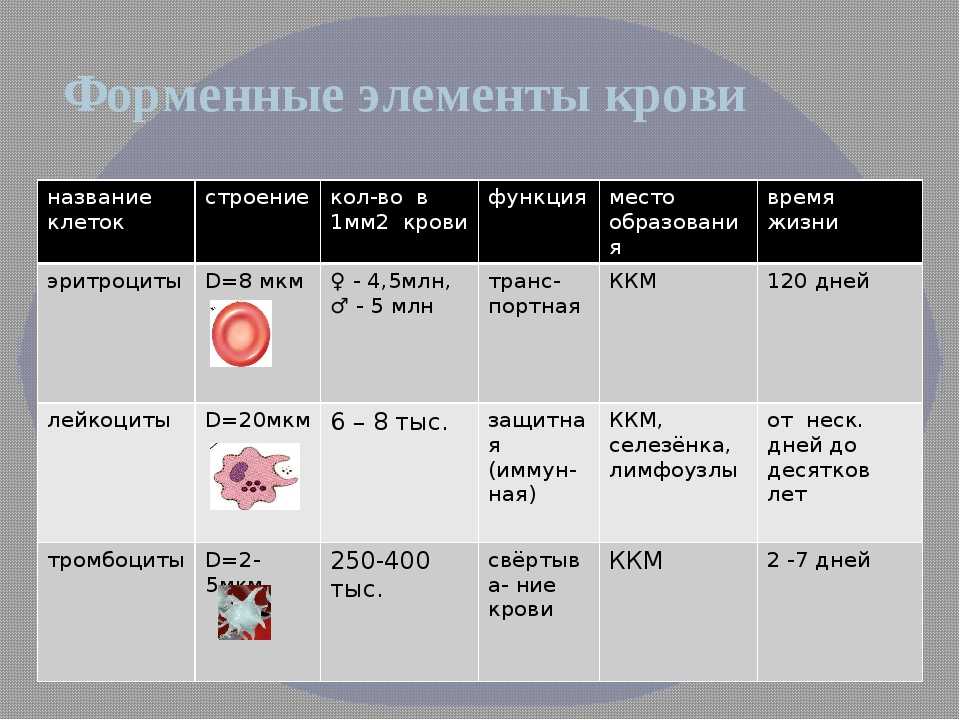 Назовите элементы крови. Элементы крови и их функции. Форменные элементы крови таблица биология 8 класс. Форменные элементы крови таблица 8. Основные функции форменных элементов крови лейкоциты.