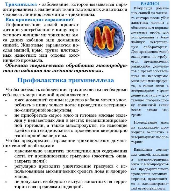 Трихинеллез | университетская клиника