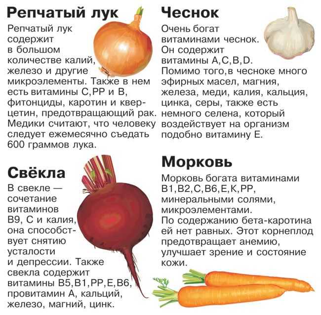Рецепт жареный лук. калорийность, химический состав и пищевая ценность.