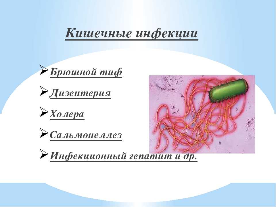 Основные кишечные инфекции презентация