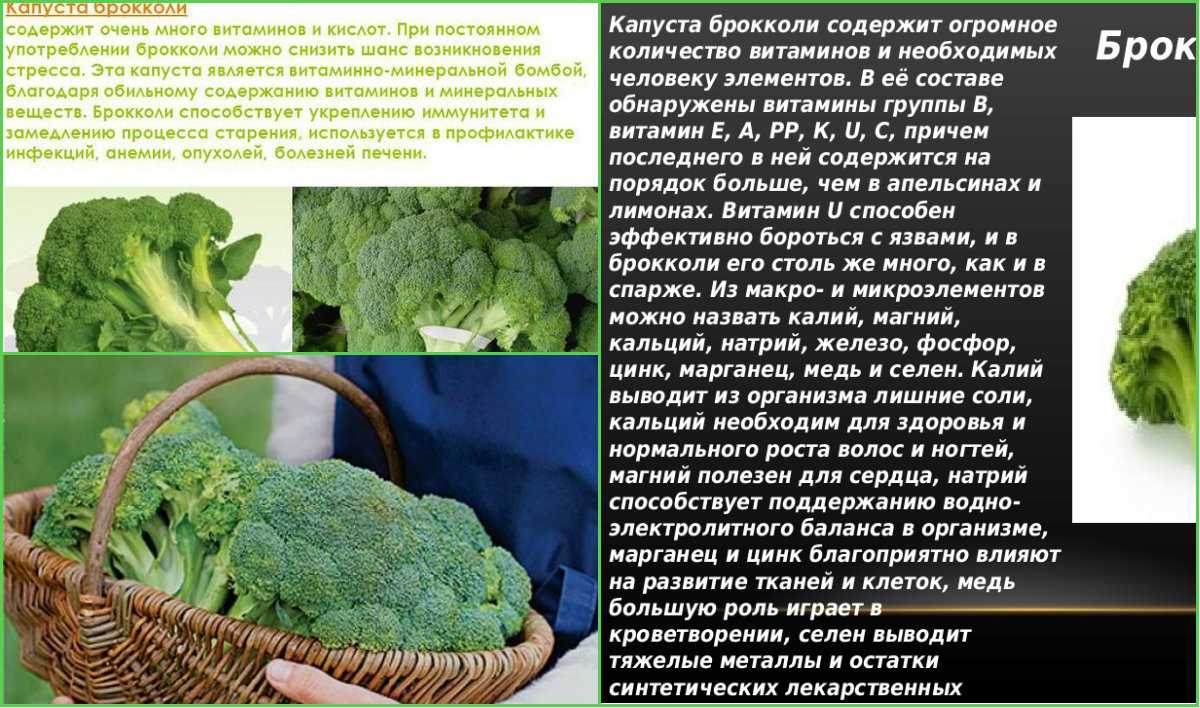 Капуста брокколи польза для организма. Полезные вещества в цветной капусте. Полезные витамины в брокколи. Полезная капуста брокколи. Брокколи полезные свойства.