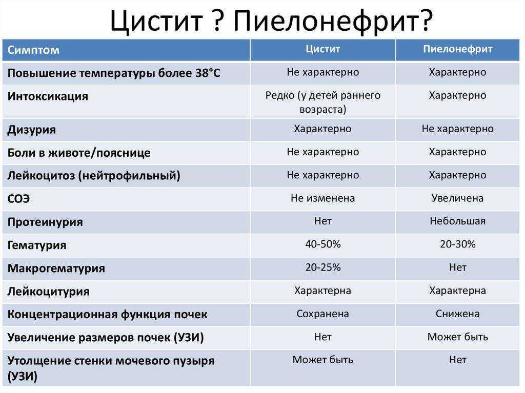 Цистит: диагностика и лечение * клиника диана в санкт-петербурге