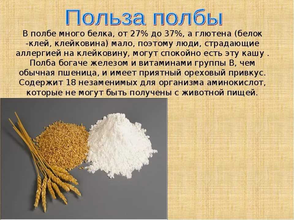 Оптимальное соотношение белков, жиров и углеводов для правильного питания