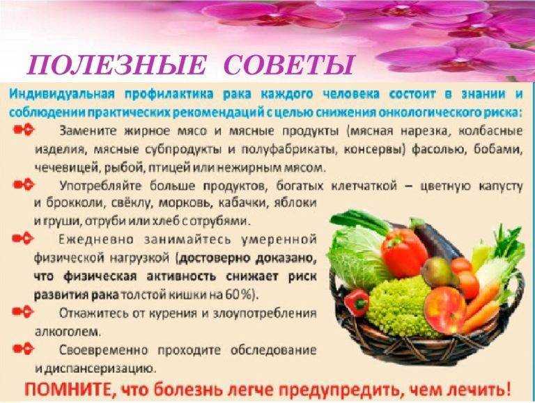 Толстый кишечник: анатомия, строение, диагностика заболеваний толстого кишечника и лечение у врача-гастроэнтеролога в мкц «проксима» (г. сочи)