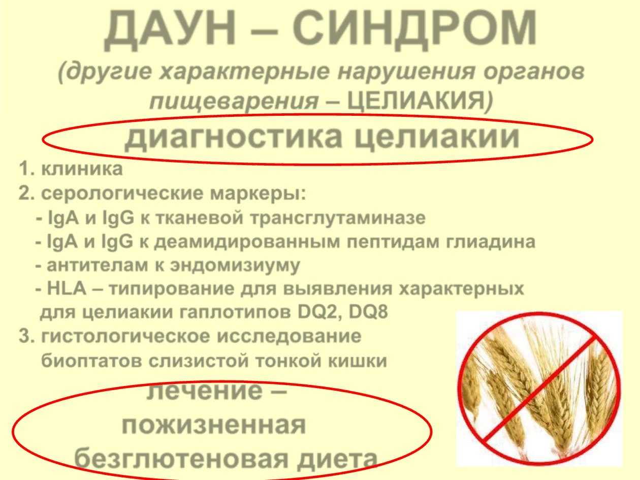 Что такое глютен и бывает ли его непереносимость?