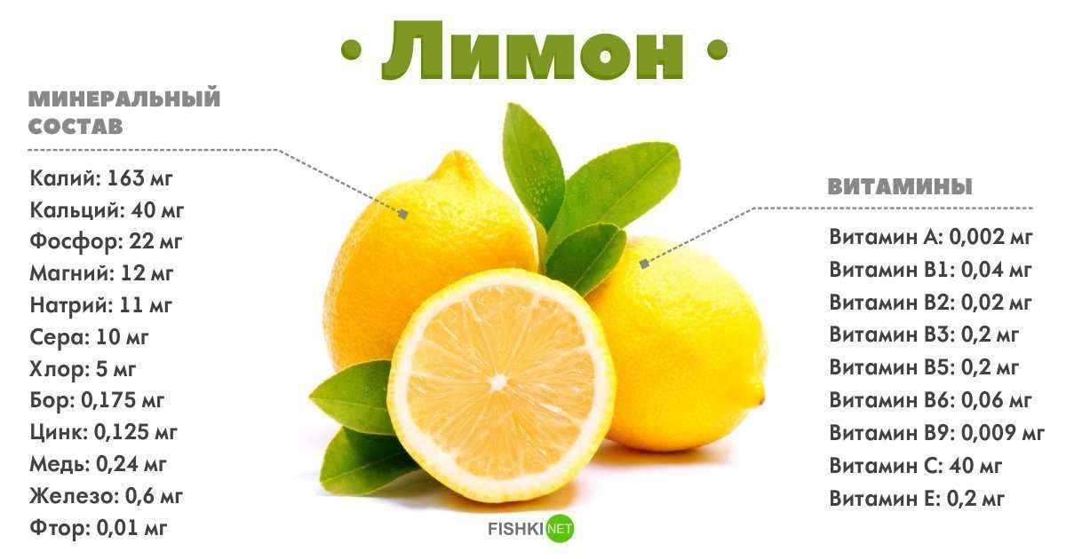 Чем полезен лимон: целебные свойства, вред и противопоказания для организма человека