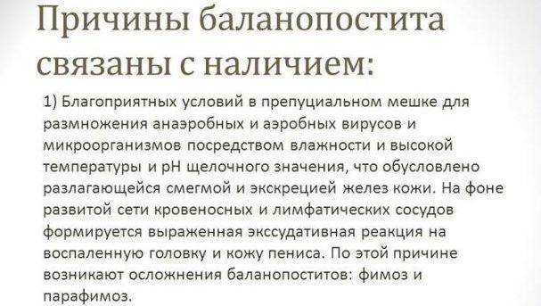 Овогенез и сперматогенез | общие черты и отличия, схема овогенеза и сперматогенеза
