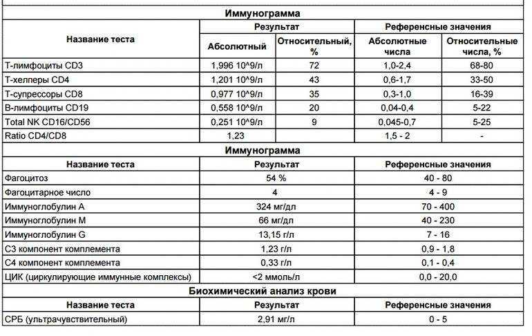 Оса насекомое. образ жизни и среда обитания осы | животный мир