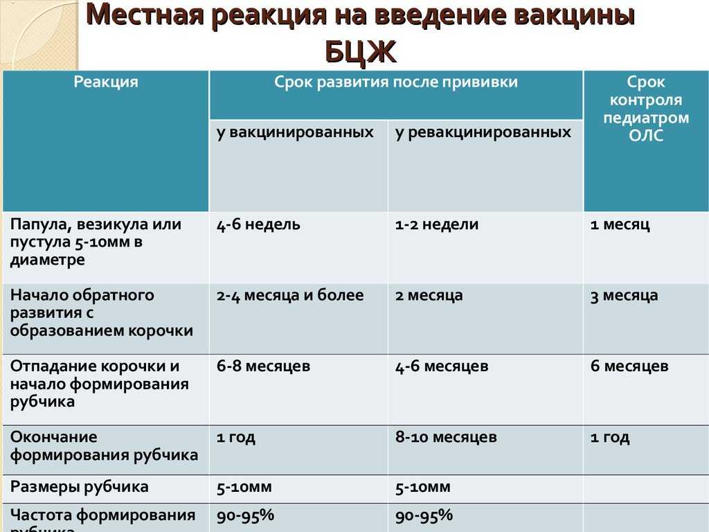 Бцж прививка: когда делают и сколько раз, от чего защищает детей