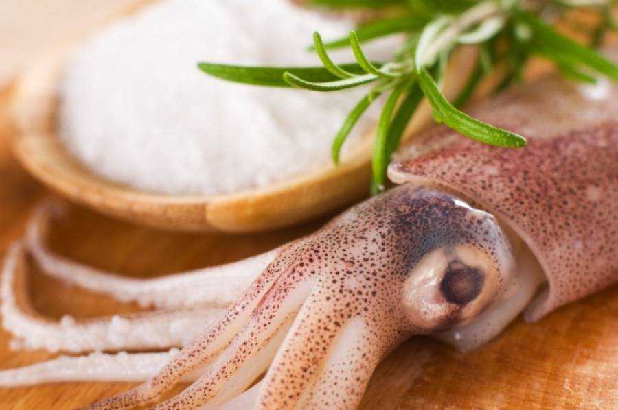 Все о кальмаре: калорийность, состав, полезные и вредные свойства