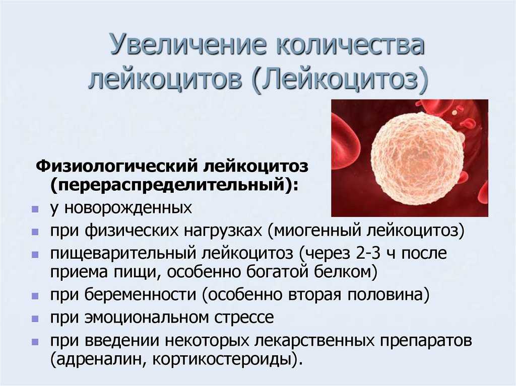 Лейкоциты в мазке. причины, почему в мазках на флору повышены лейкоциты