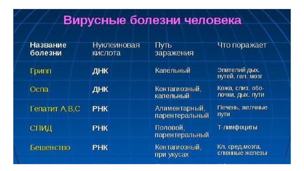 Виды заболеваний. Заболевания вызываемые вирусами у человека. Болезни вызываемые вирусами таблица. Самые распространенные заболевания вызванные вирусами. Вирусы и инфекции таблица.