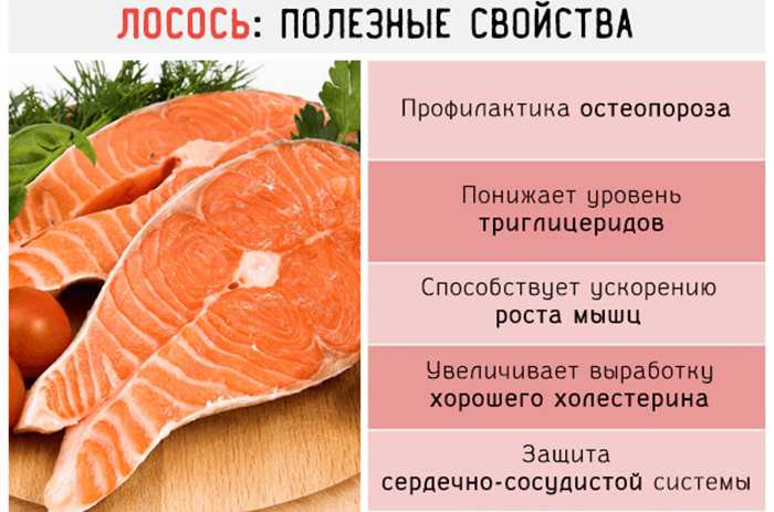 Карась польза и вред🐟, 7 полезных свойств икры, состав мяса рыбы