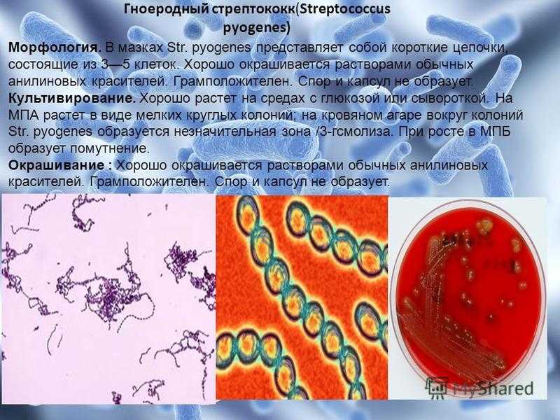Гранулёма пиогенная