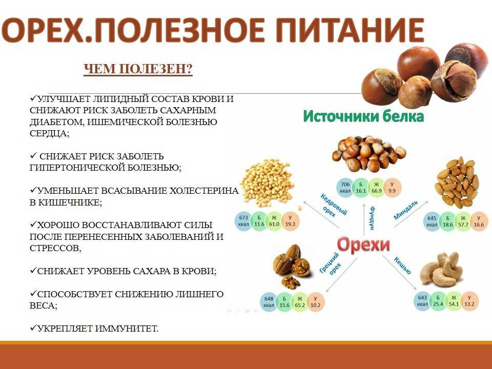Кешью при похудении: можно ли употреблять орехи на диете и в каком количестве стоит есть