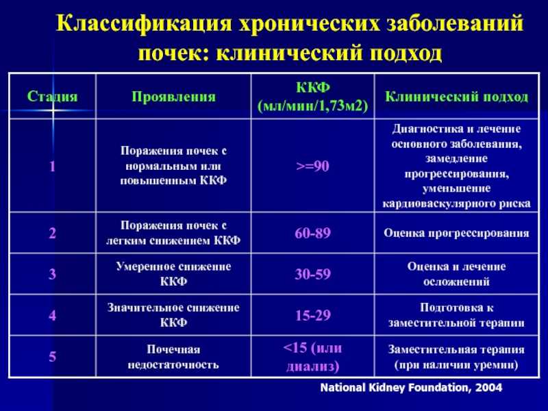 Клиническая картина заболеваний почек