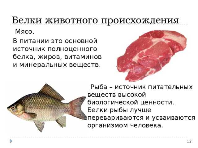 Польза карася и его вред для организма: обзор как просто и быстро приготовить рыбу (95 фото)