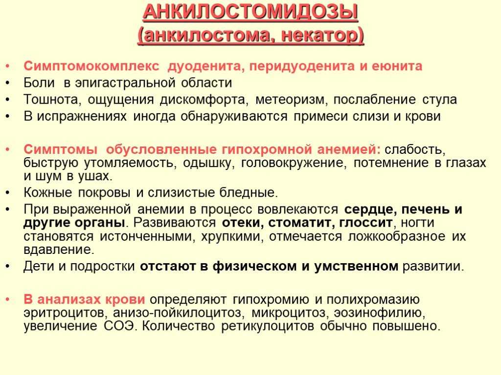 Трихоцефалез — симптомы, диагностика и лечение при заражении власоглавом | университетская клиника