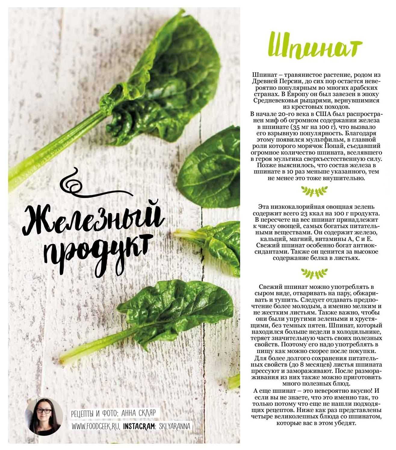Шпинат: польза и вред для здоровья